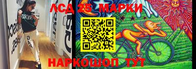 шишки Заволжье