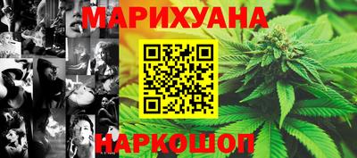 шишки Заволжье