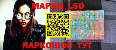 шишки Заволжье