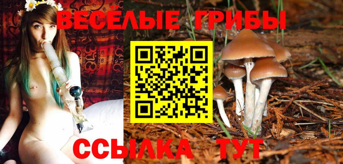 Галлюциногенные грибы Cubensis Майкоп