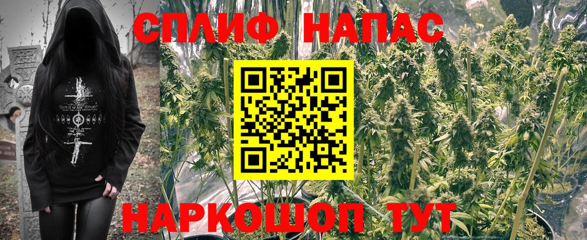Конопля White Widow  Вход с VPN  Бошки Шишки семена  Майкоп  Конопля MAZAR  Каннабис MAZAR 